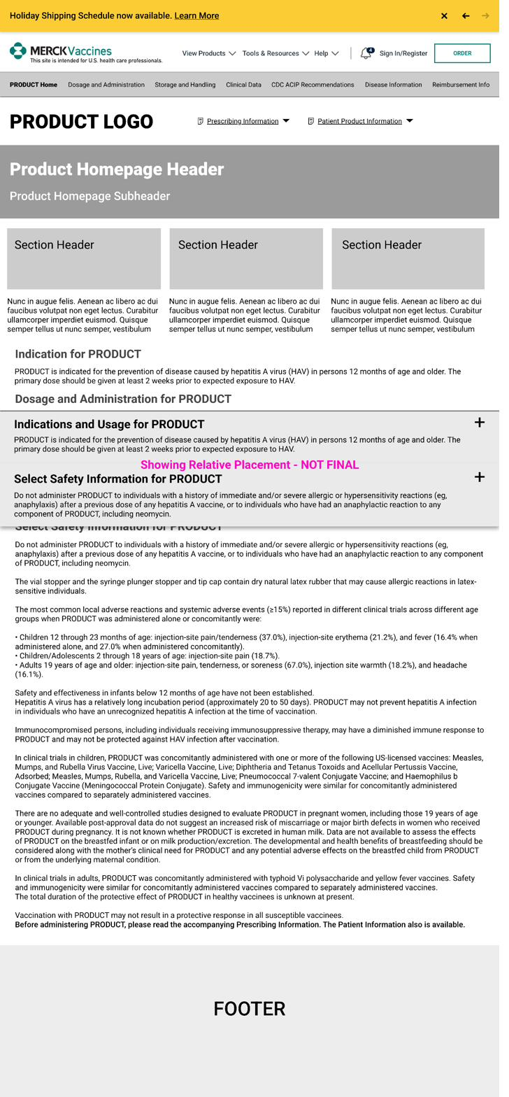 Template wireframe at 1024px, iPad landscape